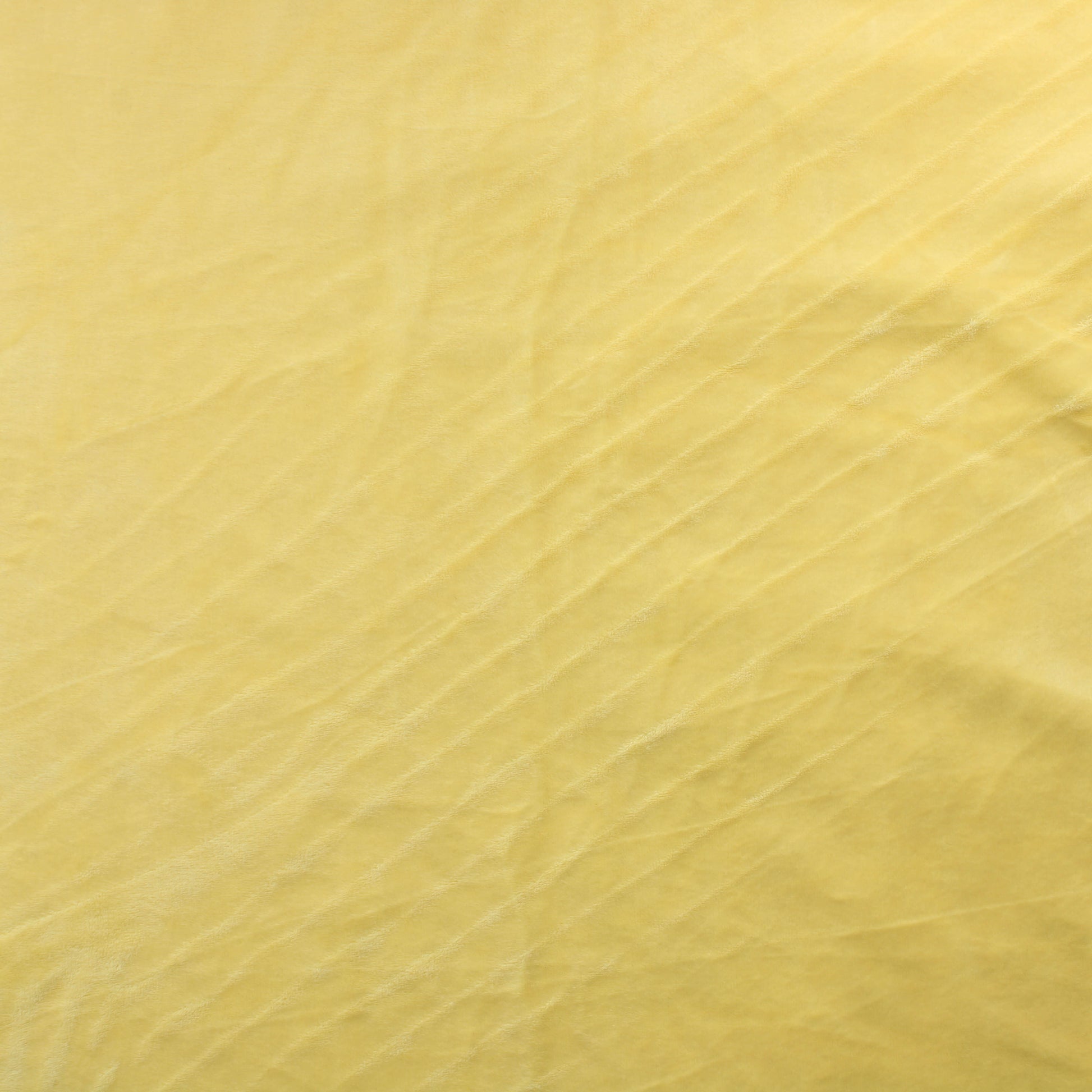 Keltainen Sametti - Pala