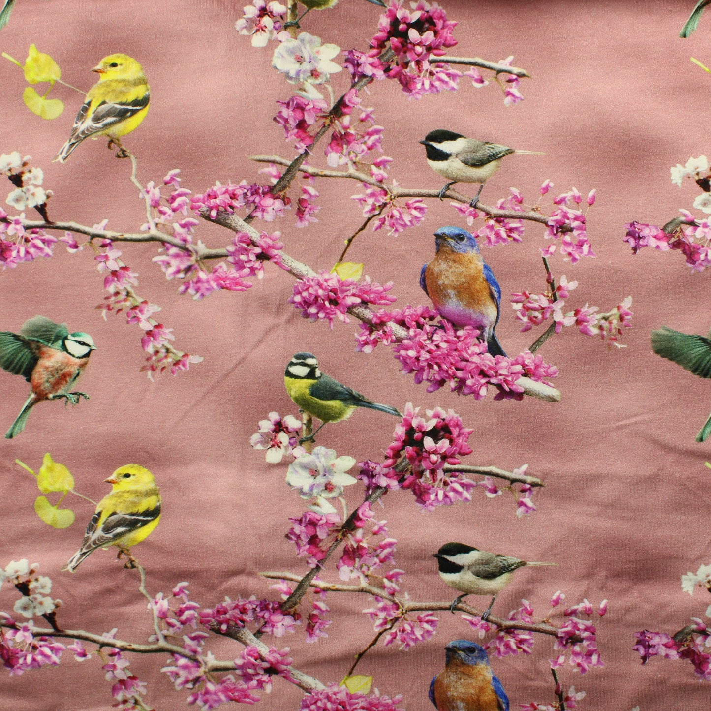 Kevät Trikoo - Pala