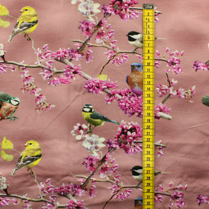 Kevät Trikoo - Pala