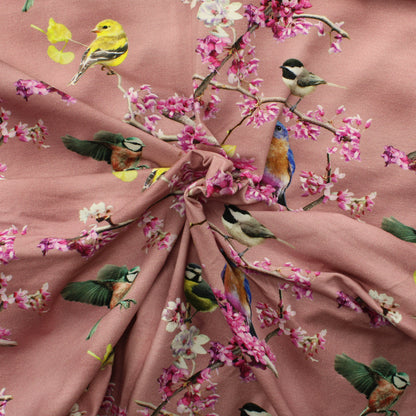 Kevät Trikoo - Pala