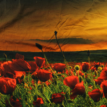 Unikko Trikooraportti - Palapaketti