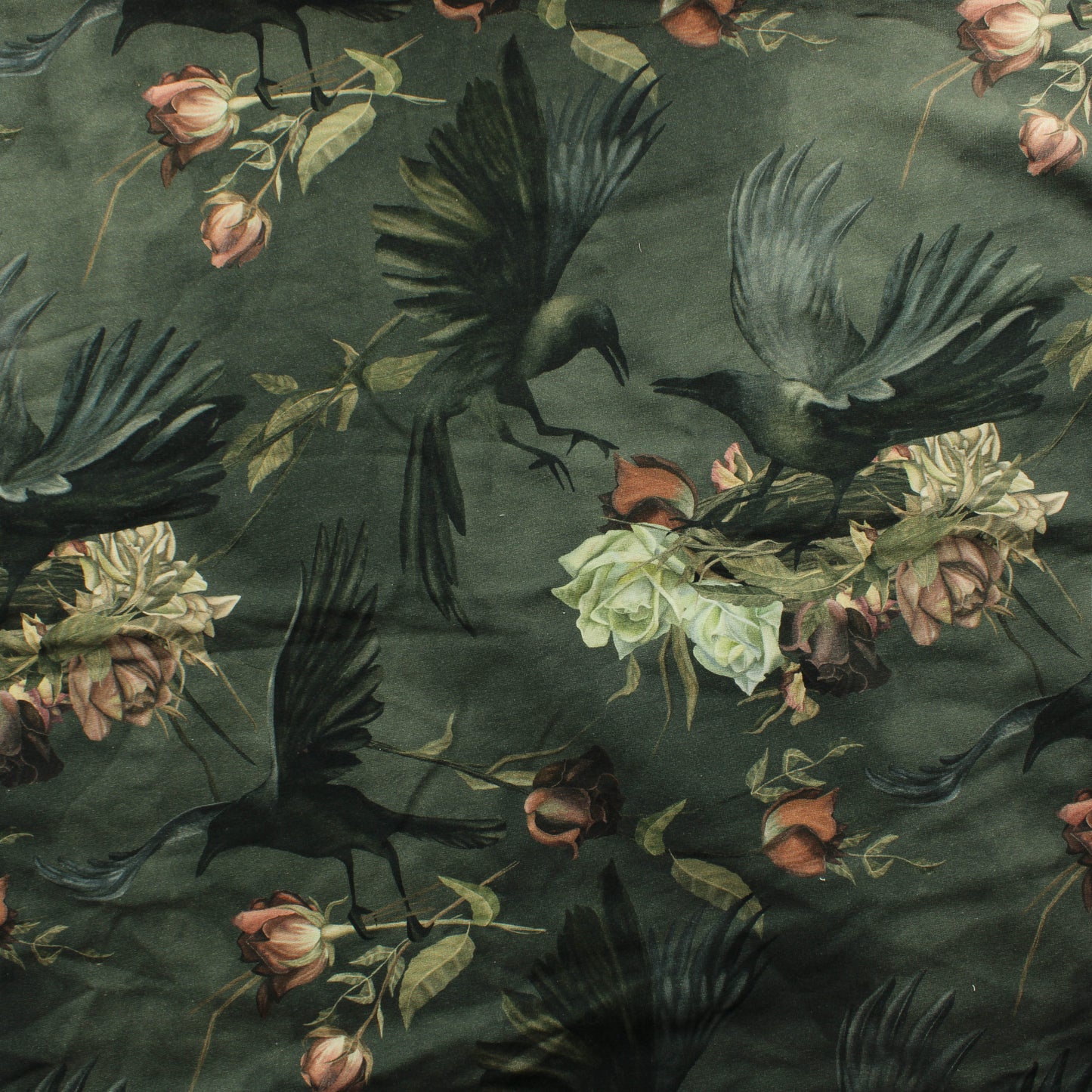 Linnunpesät JC - Pala