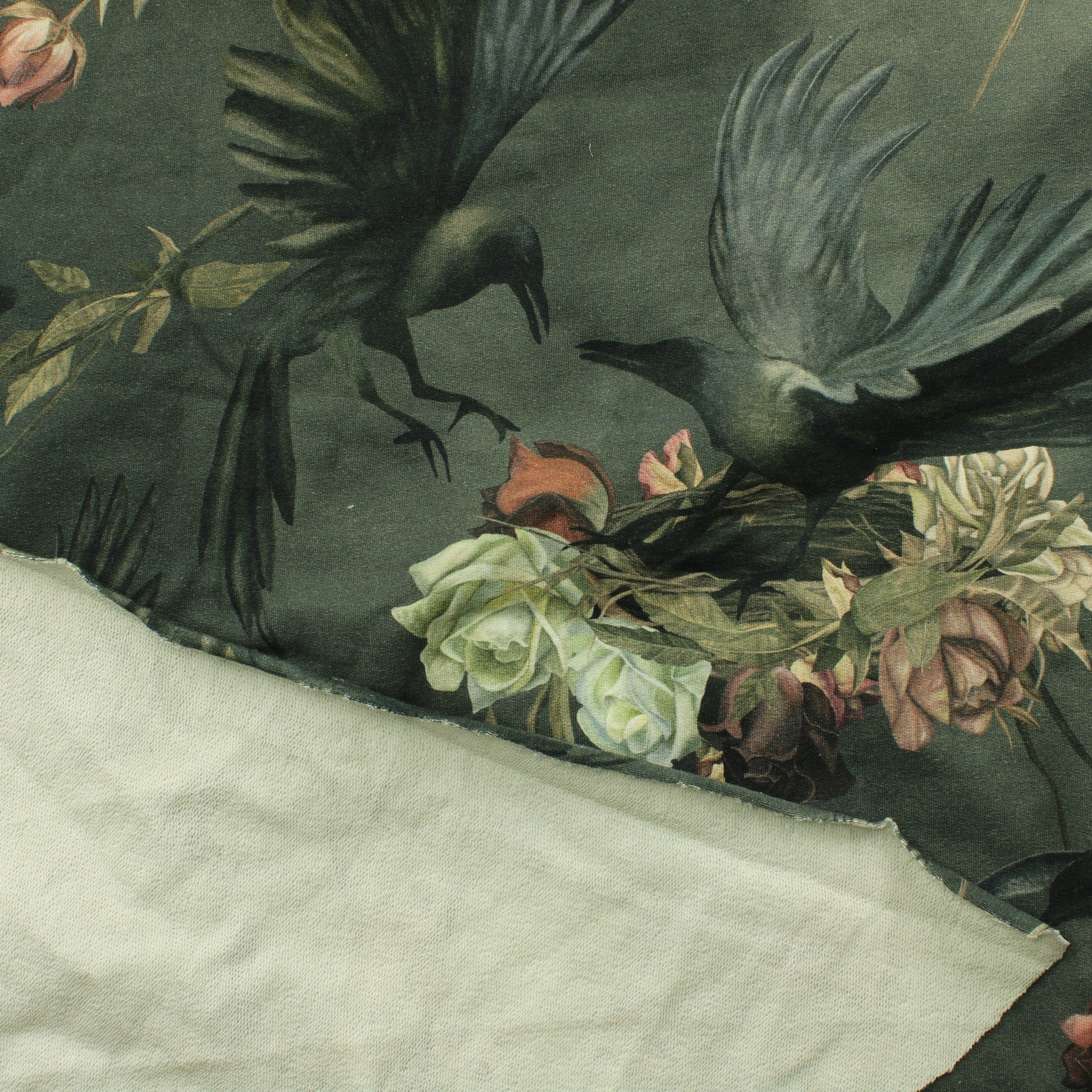 Linnunpesät JC - Pala