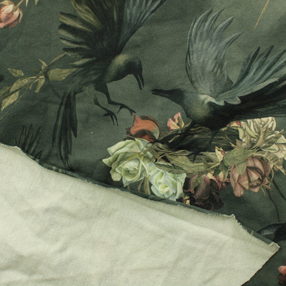 Linnunpesät JC - Pala