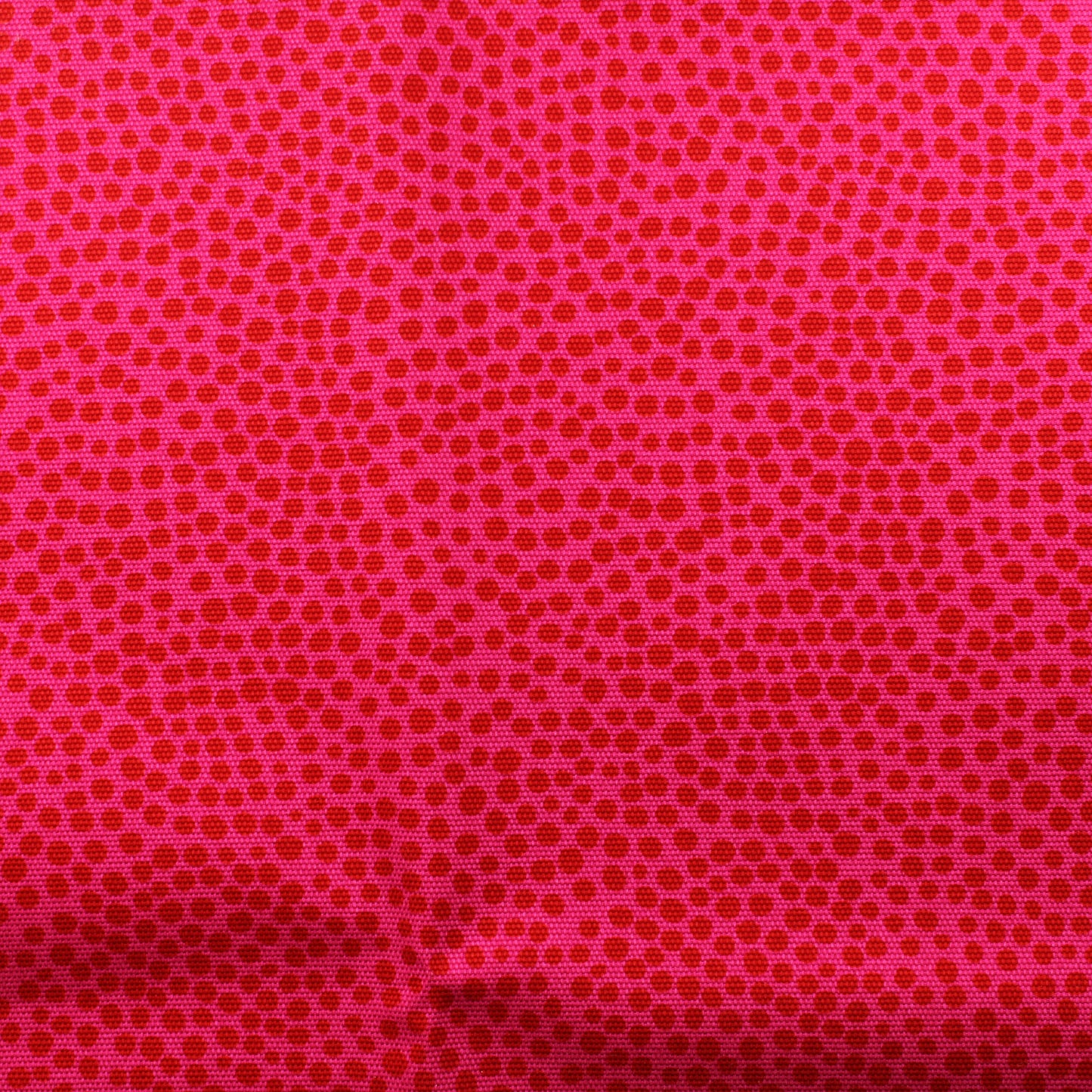 Marimekko Pirput Parput nurjalta pinnoitettu Puuvillacanvas 250cm - Pala