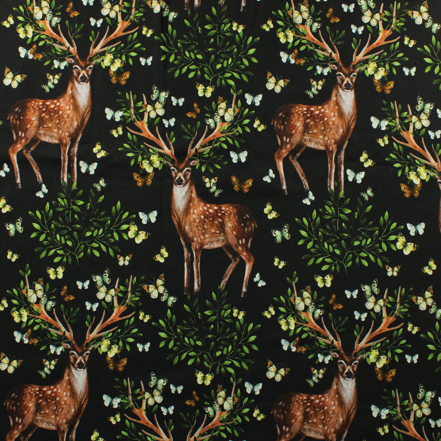 Metsän kuningas Trikoo - Pala