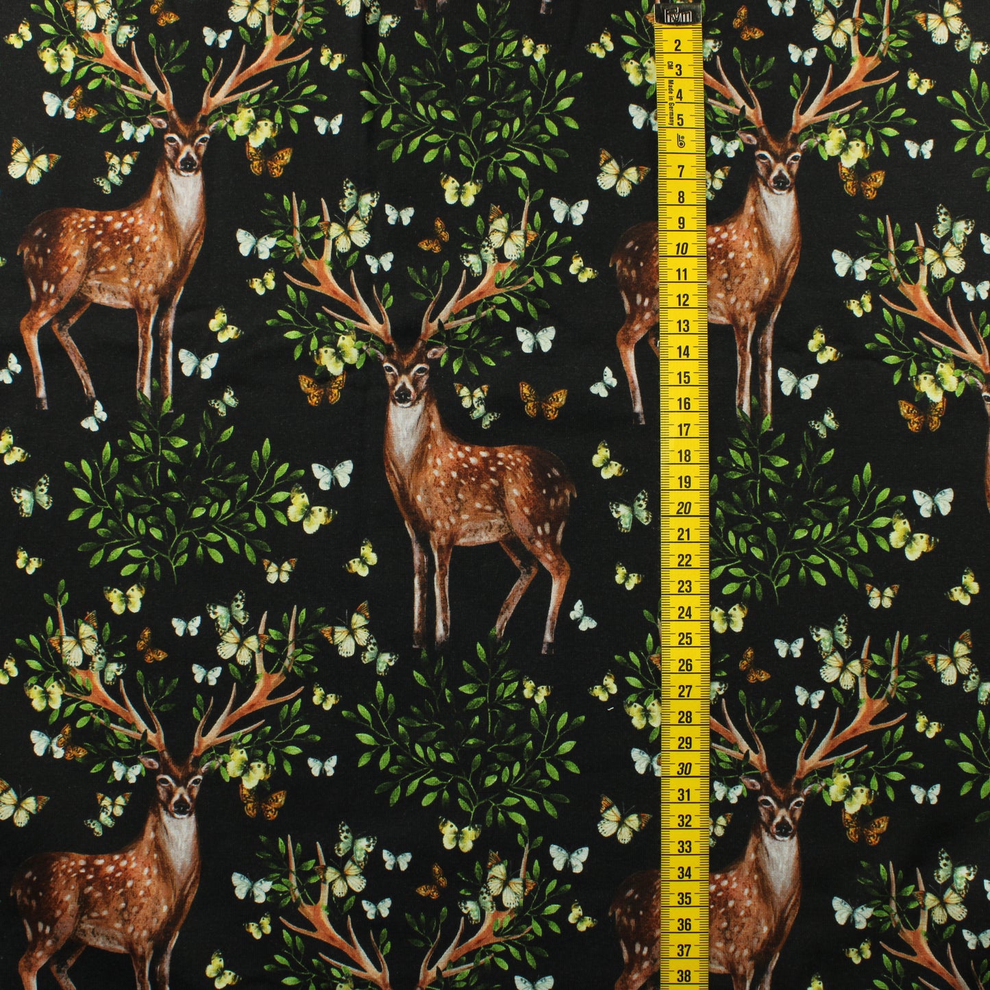 Metsän kuningas Trikoo - Pala