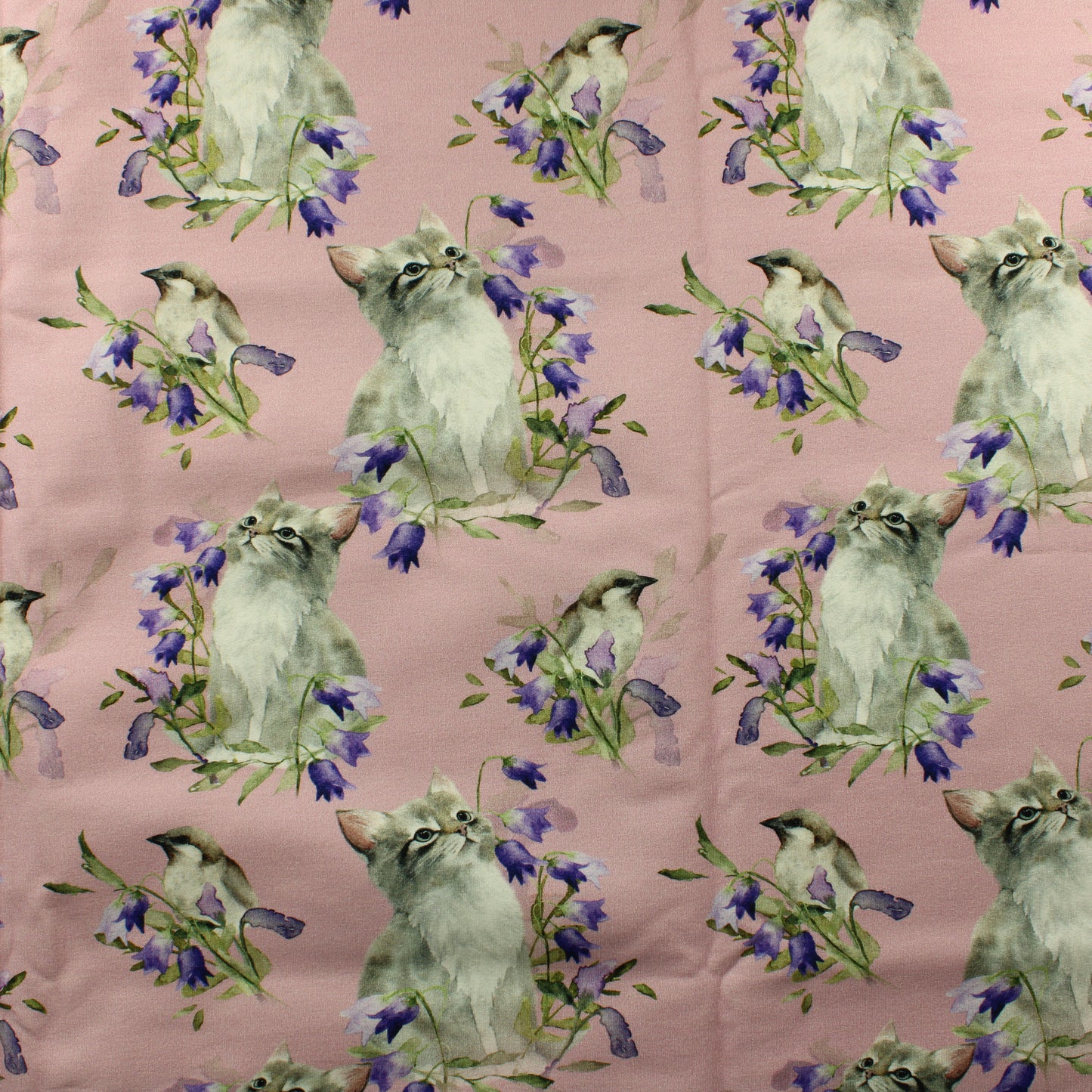 Kissanpentu ja kissakello JC - Pala