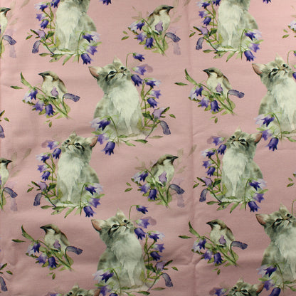 Kissanpentu ja kissakello JC - Pala