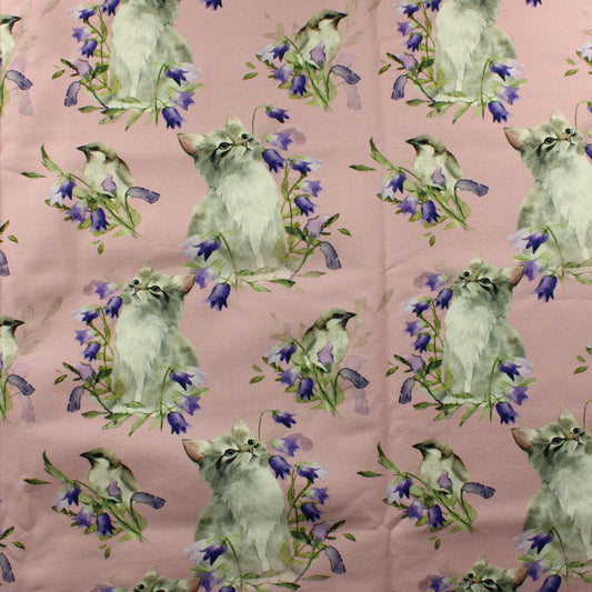 Kissanpentu ja kissakello JC - Pala