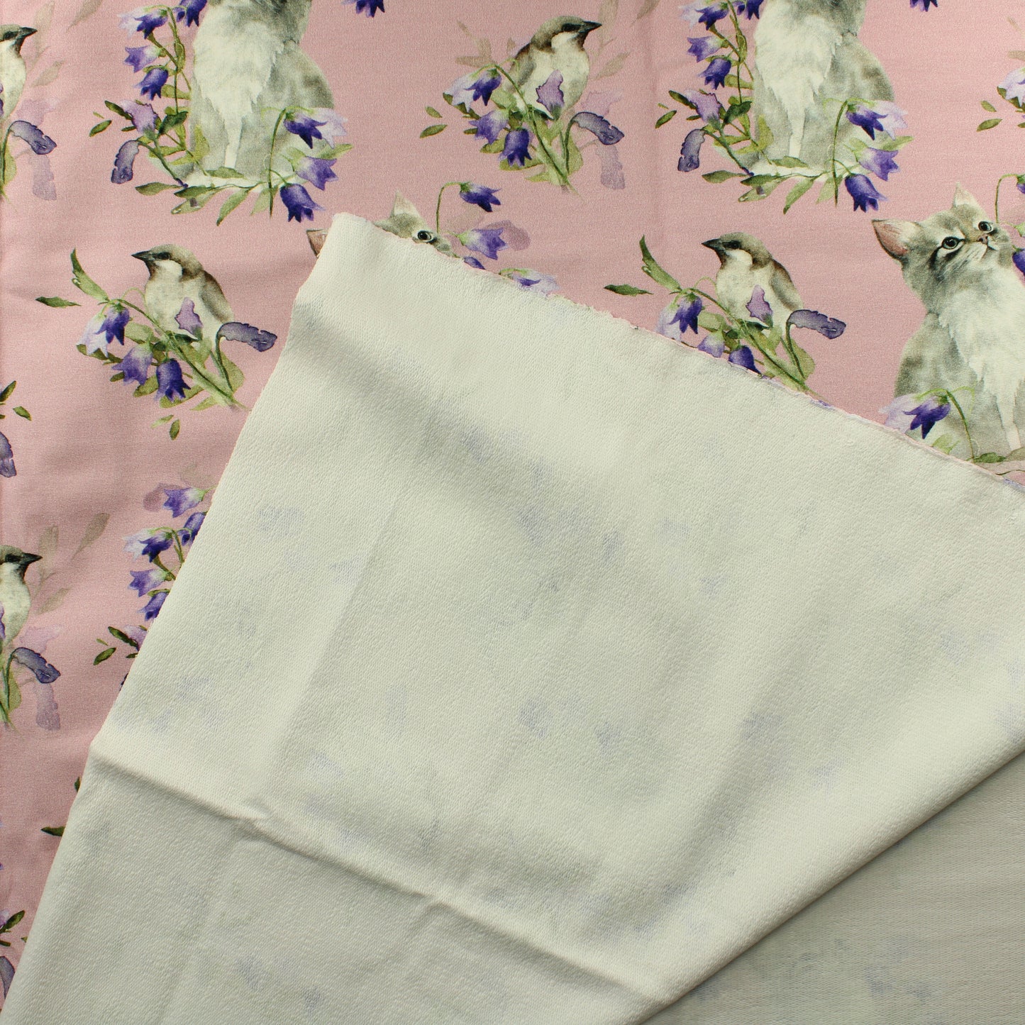 Kissanpentu ja kissakello JC - Pala