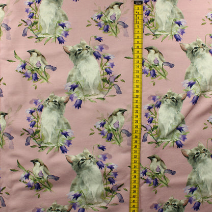 Kissanpentu ja kissakello JC - Pala