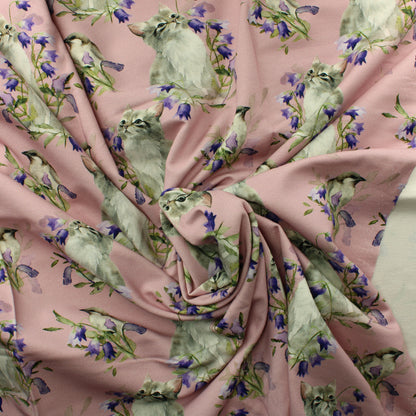 Kissanpentu ja kissakello JC - Pala