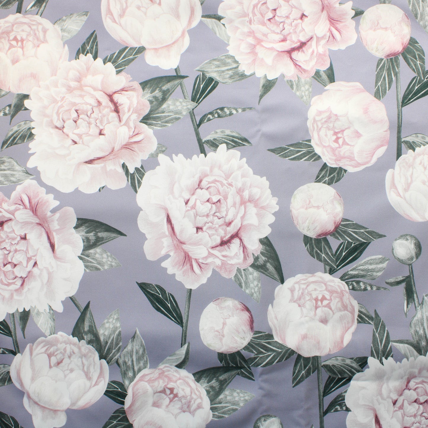 Nappinja Pioni Softshell - Pala