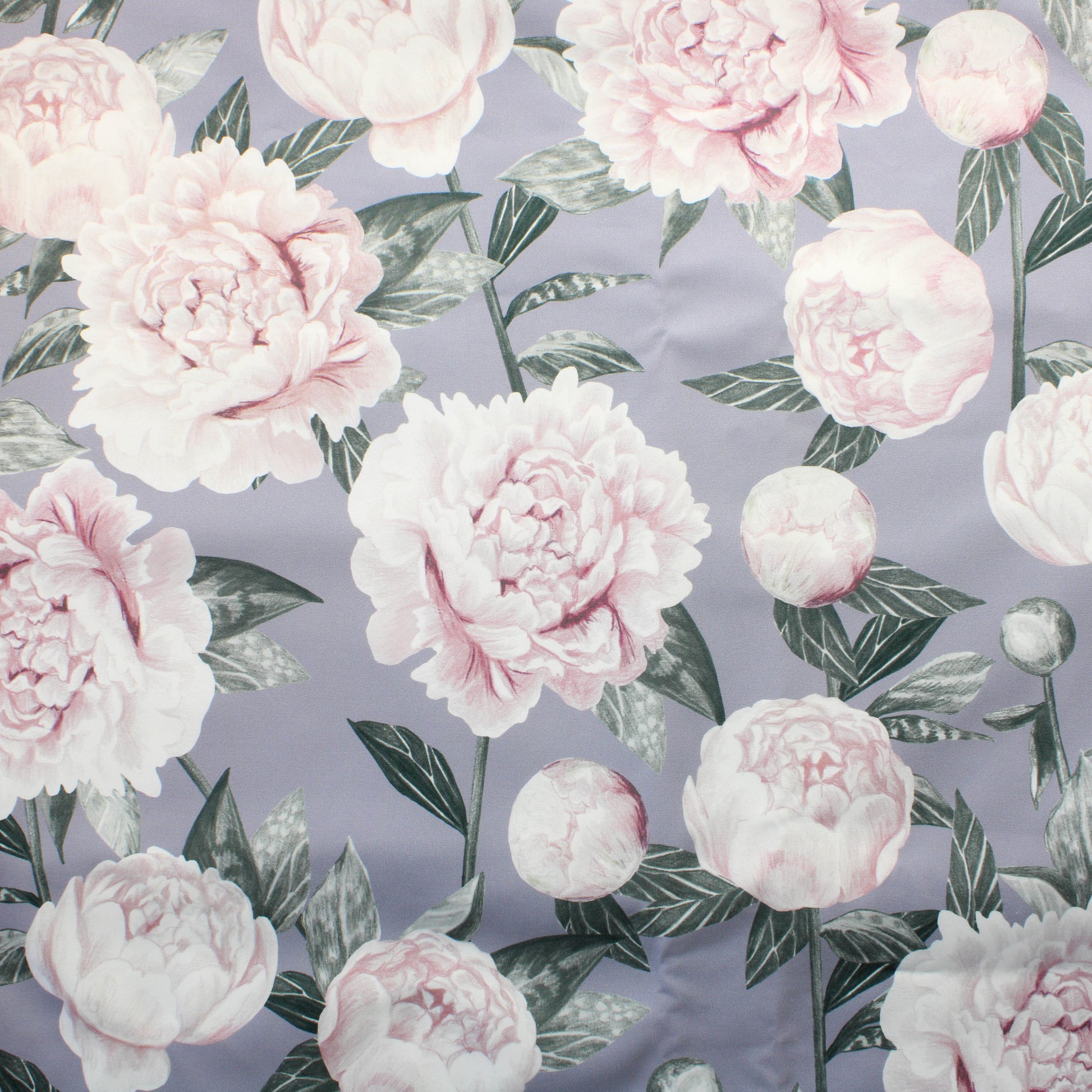 Nappinja Pioni Softshell - Pala