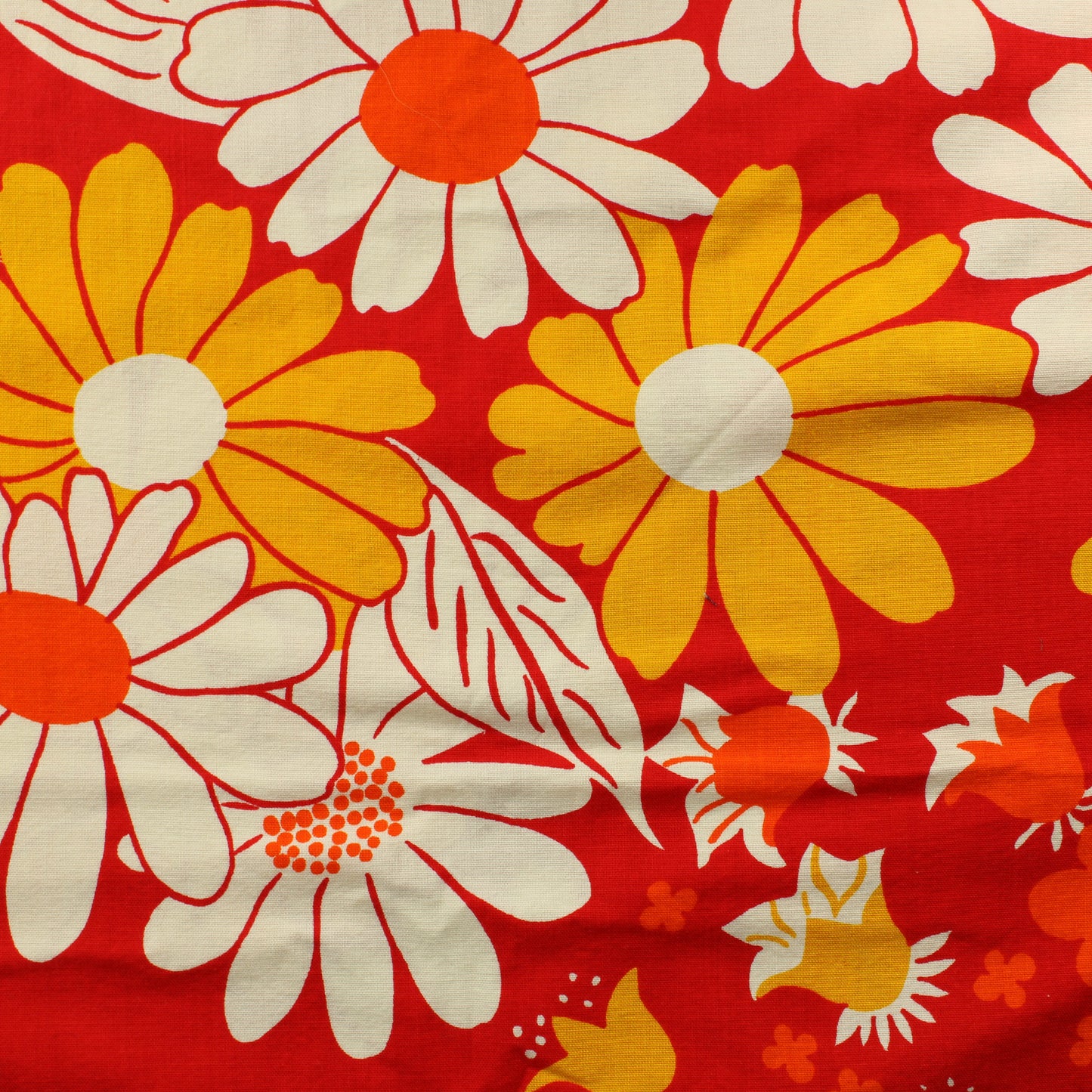 Päivänkakkarat Puuvillaverho - Pala