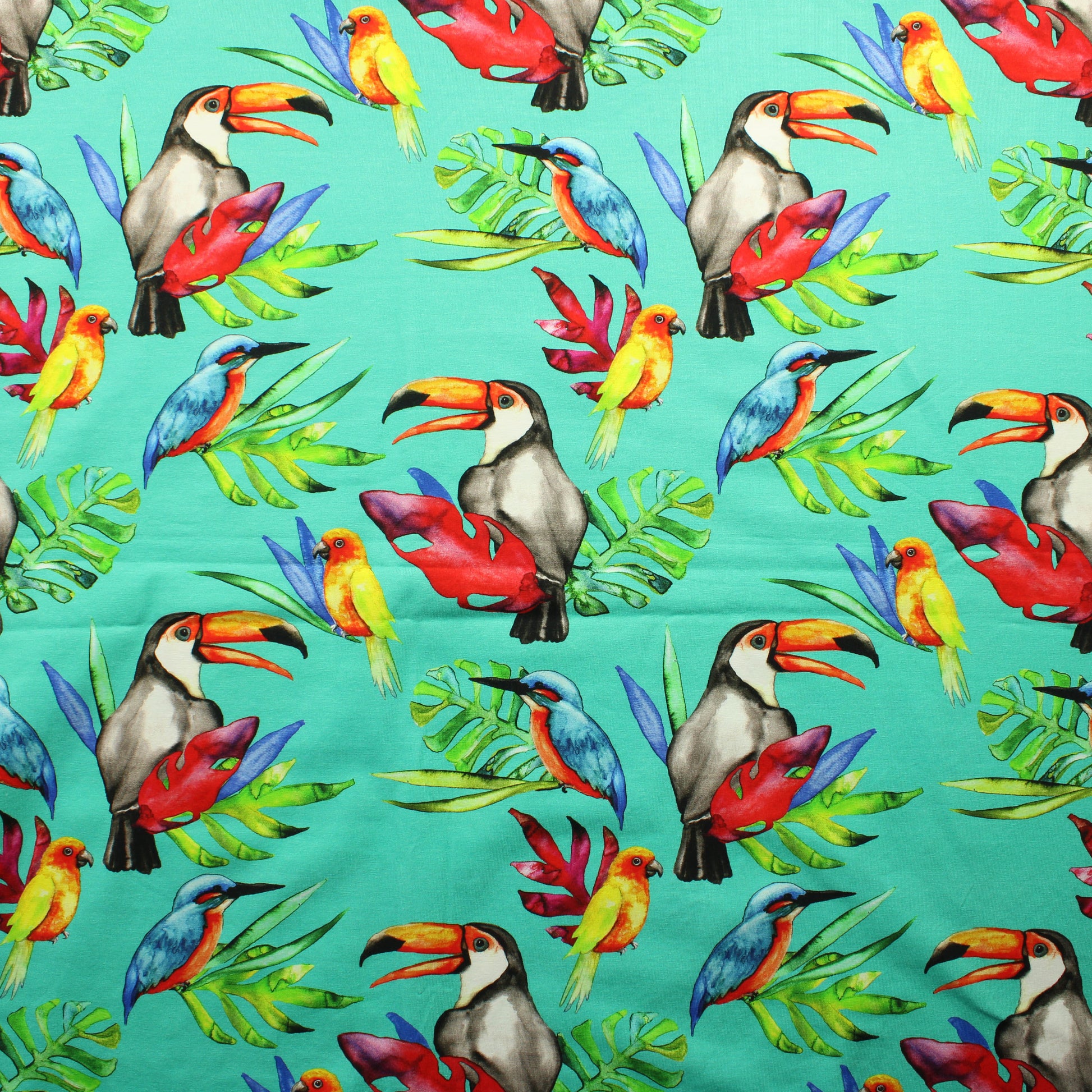 Eloise Rio Trikoo - Pala