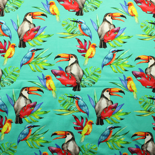 Eloise Rio Trikoo - Pala