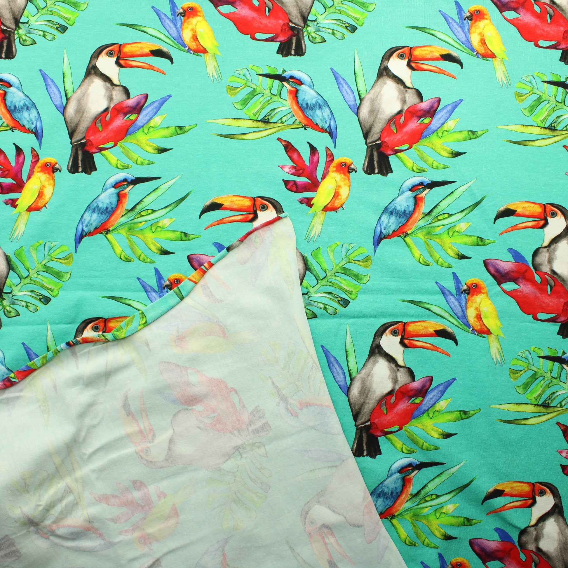 Eloise Rio Trikoo - Pala