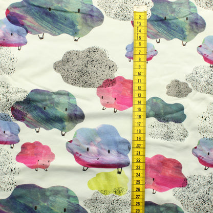 Story of Roo Cumulus Trikoo - Pala