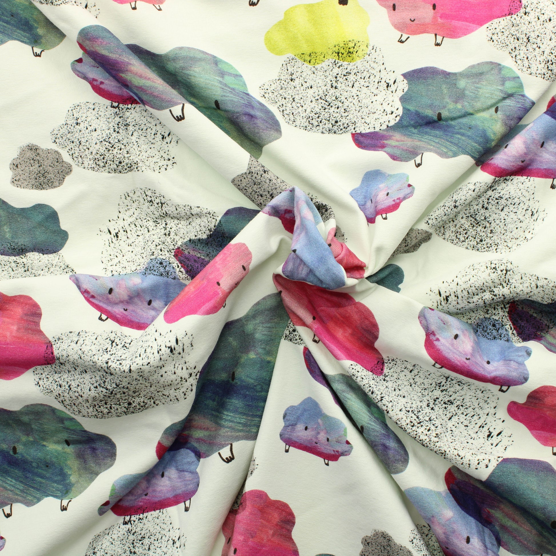 Story of Roo Cumulus Trikoo - Pala