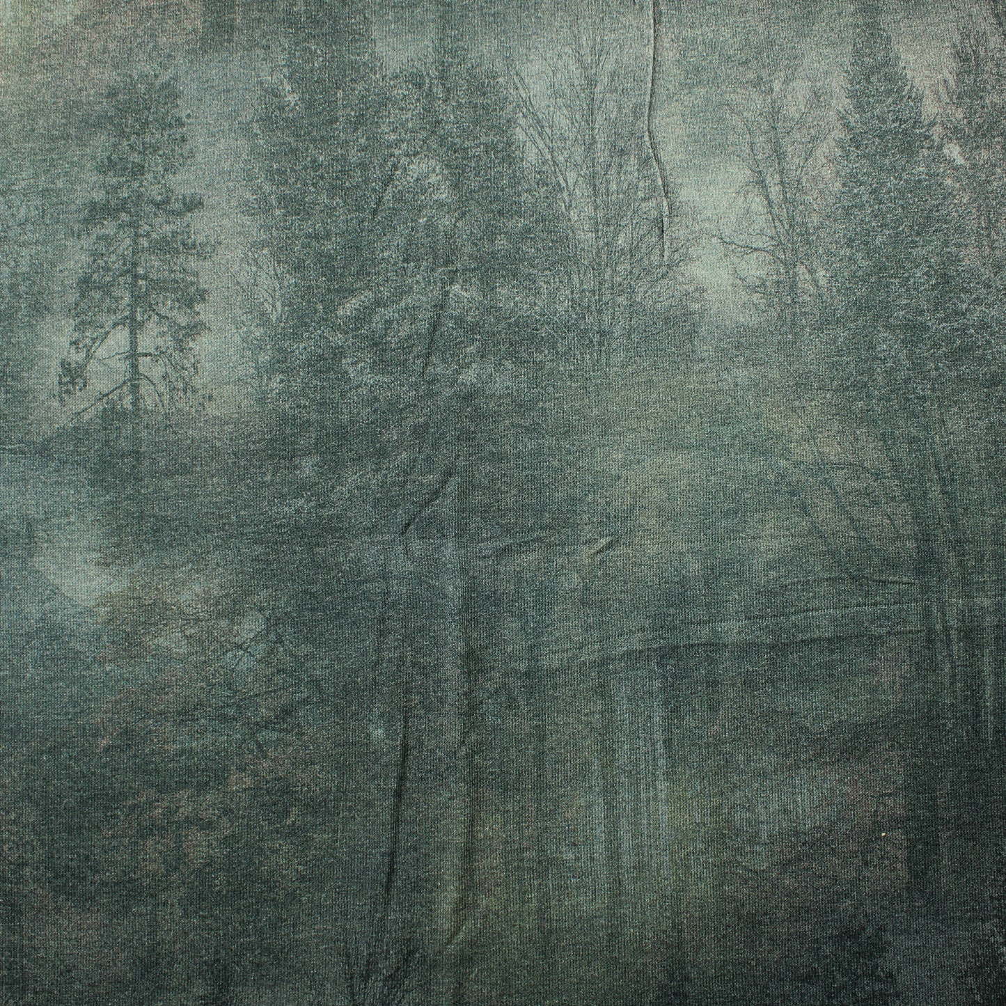 Utuinen metsä Neulos - Pala