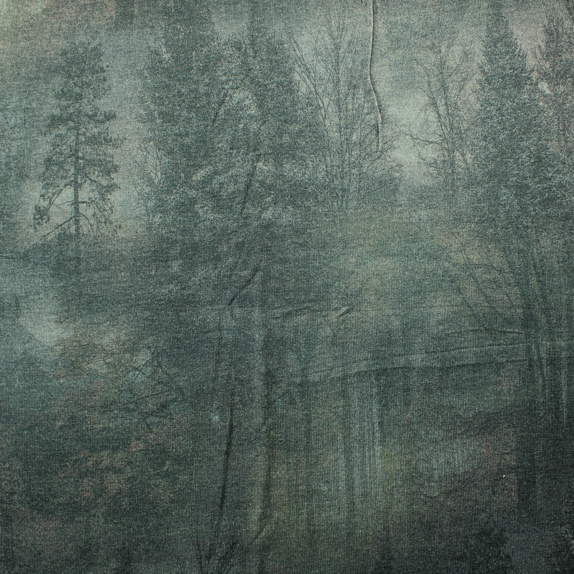 Utuinen metsä Neulos - Pala