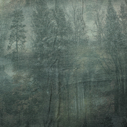 Utuinen metsä Neulos - Pala