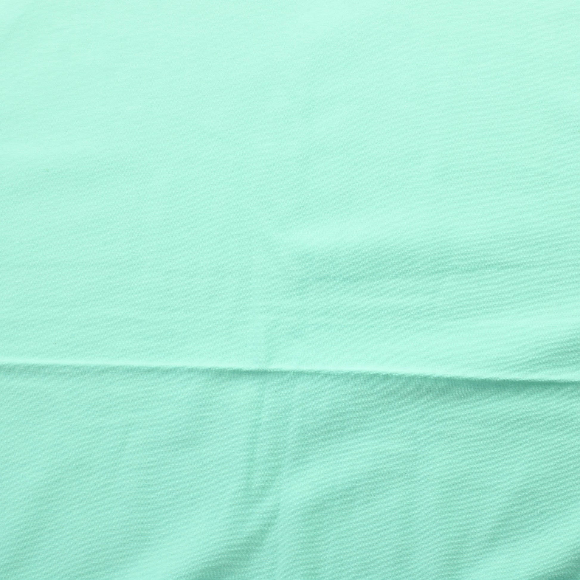 Minttu Trikoo - Pala