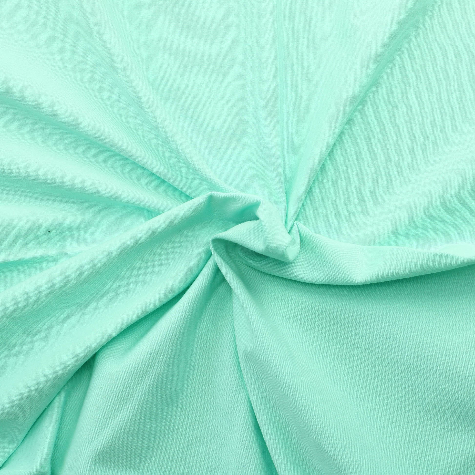 Minttu Trikoo - Pala