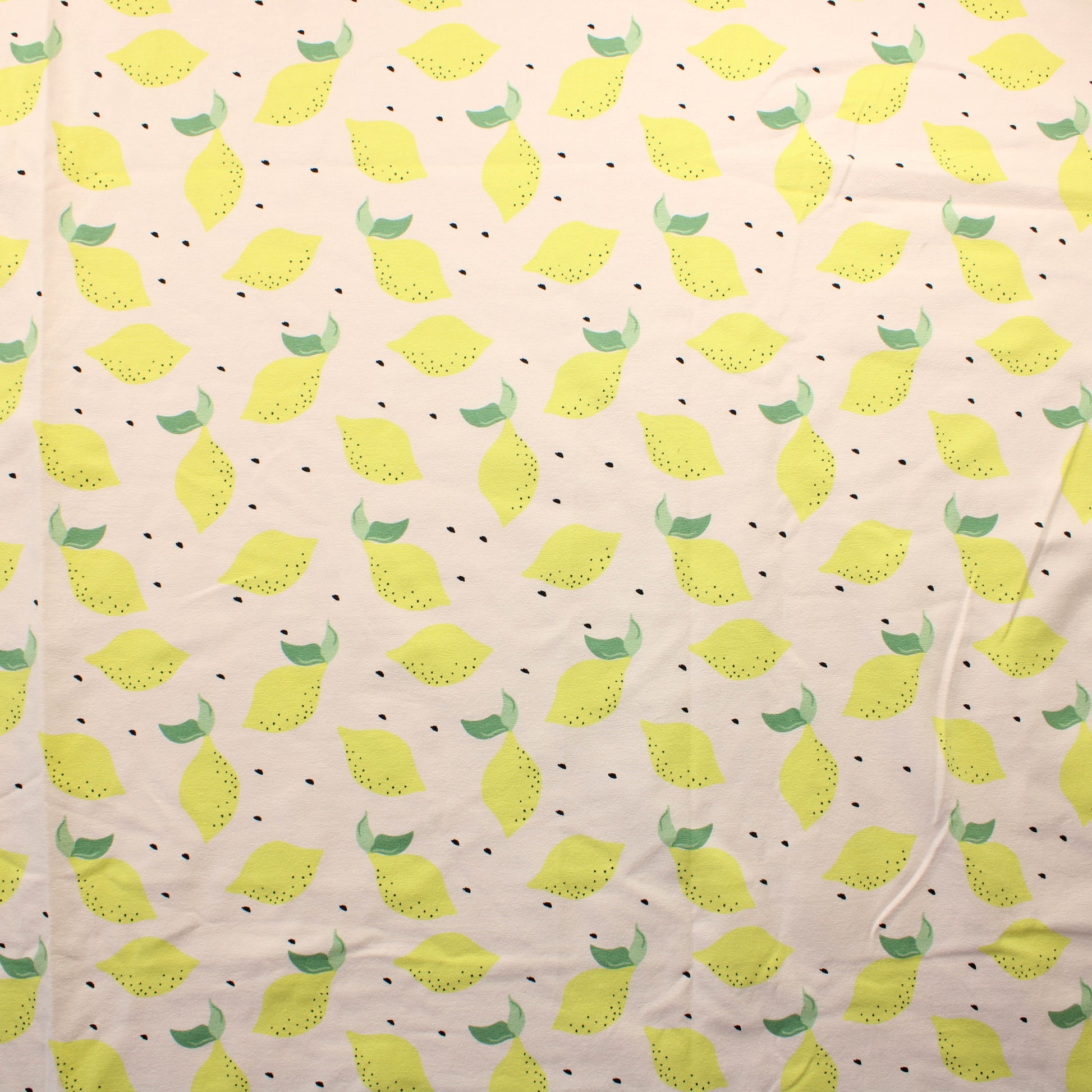 Sitruuna Trikoo - Pala