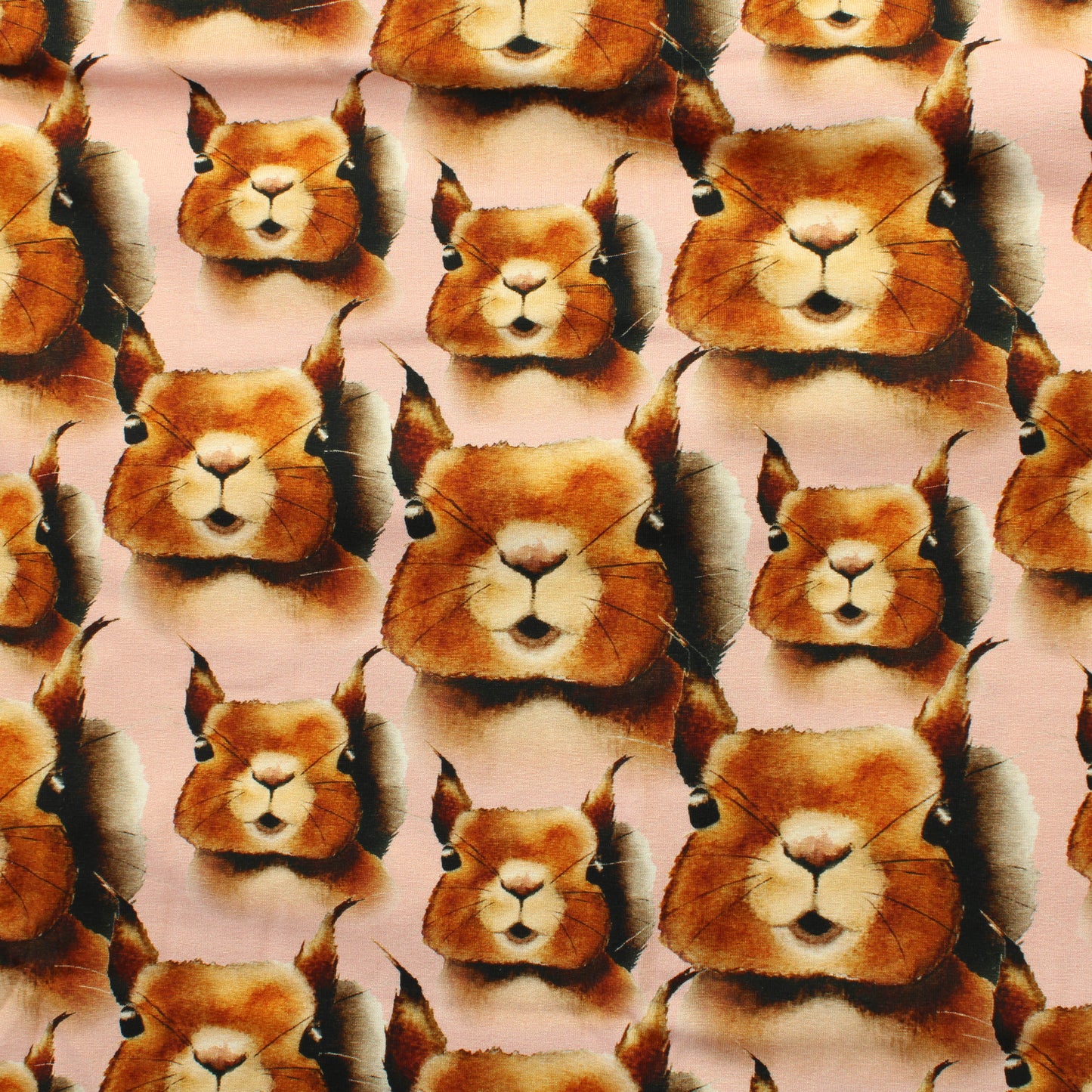 Metsola Squirrel Pink Trikoo - Pala