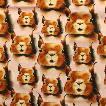 Metsola Squirrel Pink Trikoo - Pala