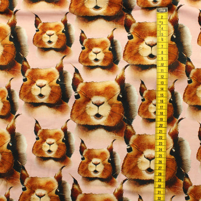 Metsola Squirrel Pink Trikoo - Pala