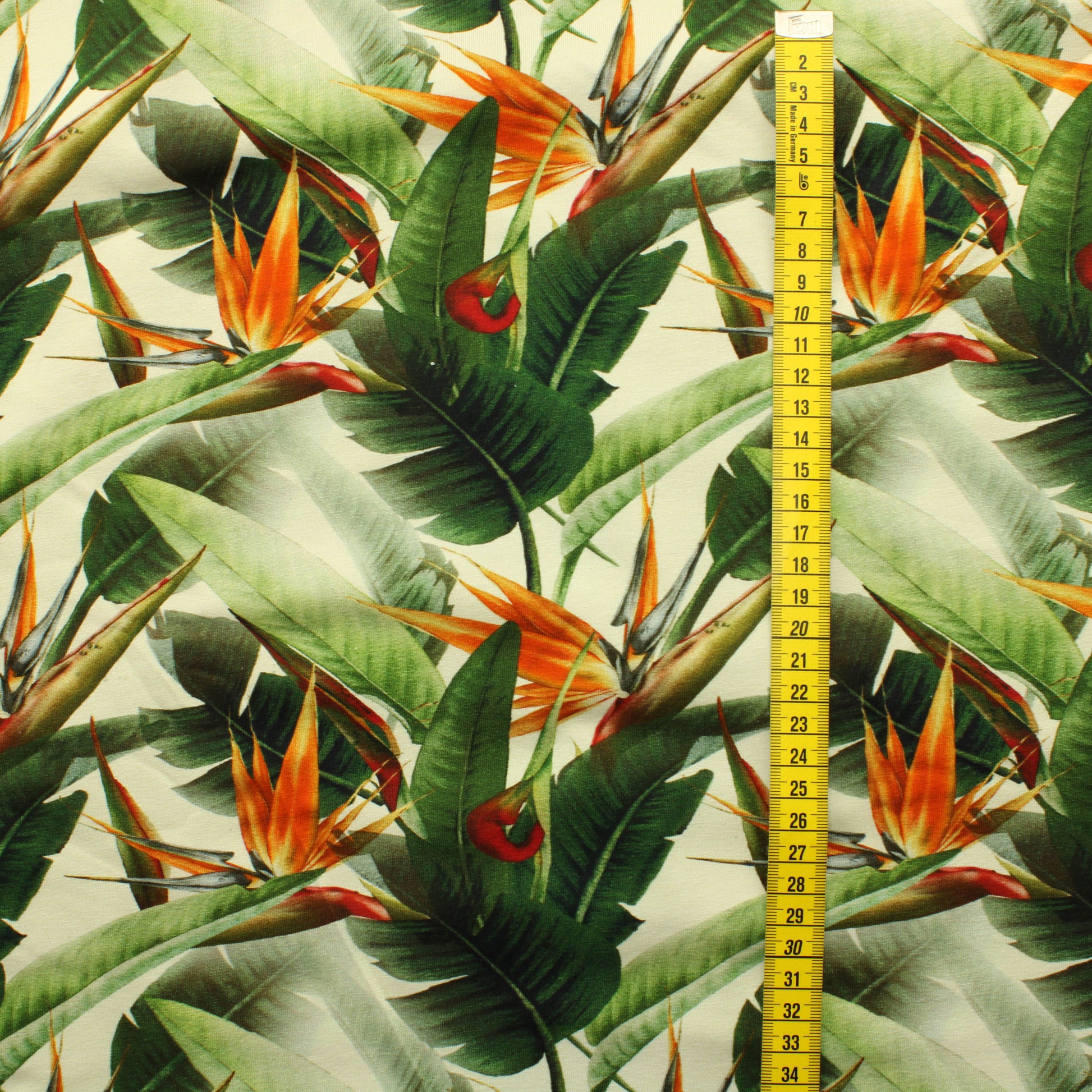 Viidakon kasvit Trikoo - Pala