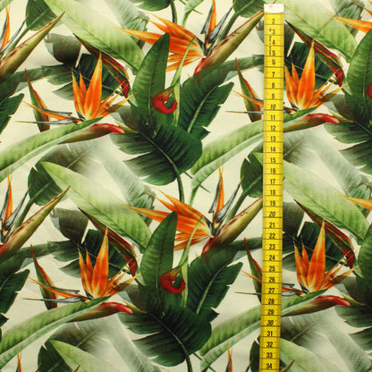 Viidakon kasvit Trikoo - Pala