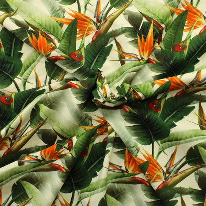 Viidakon kasvit Trikoo - Pala