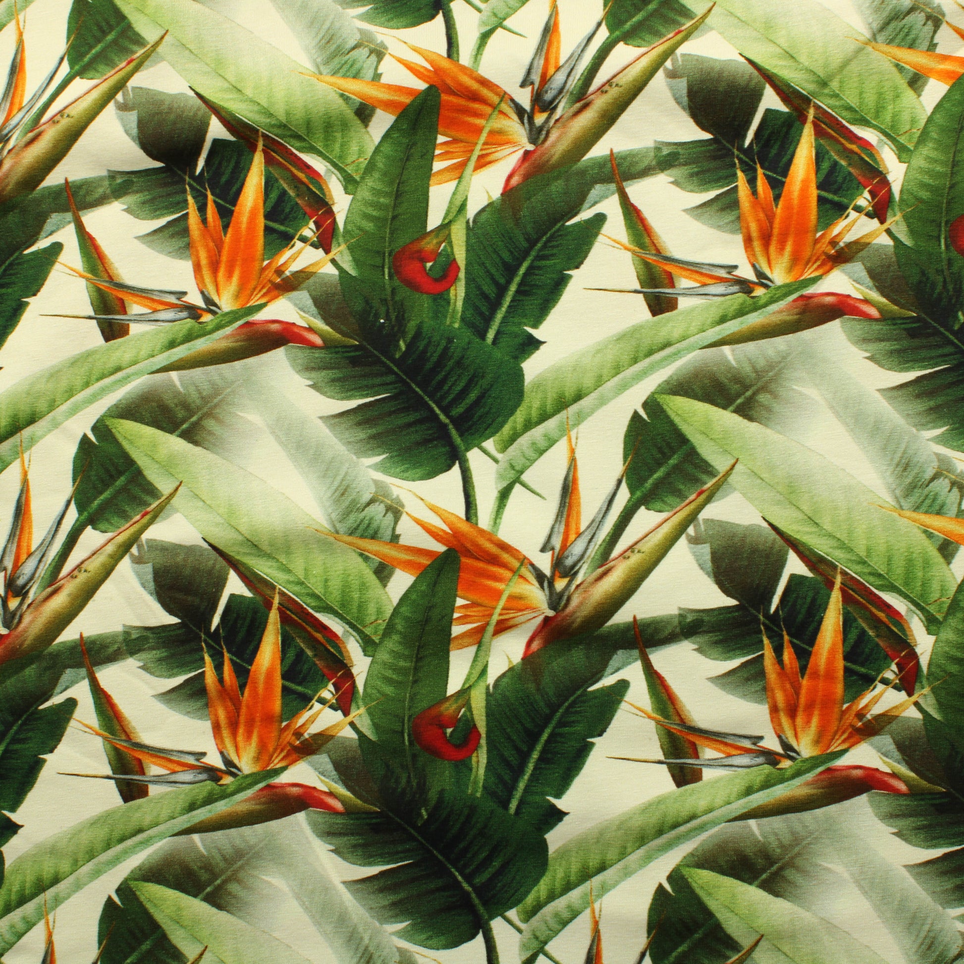 Viidakon kasvit Trikoo - Pala