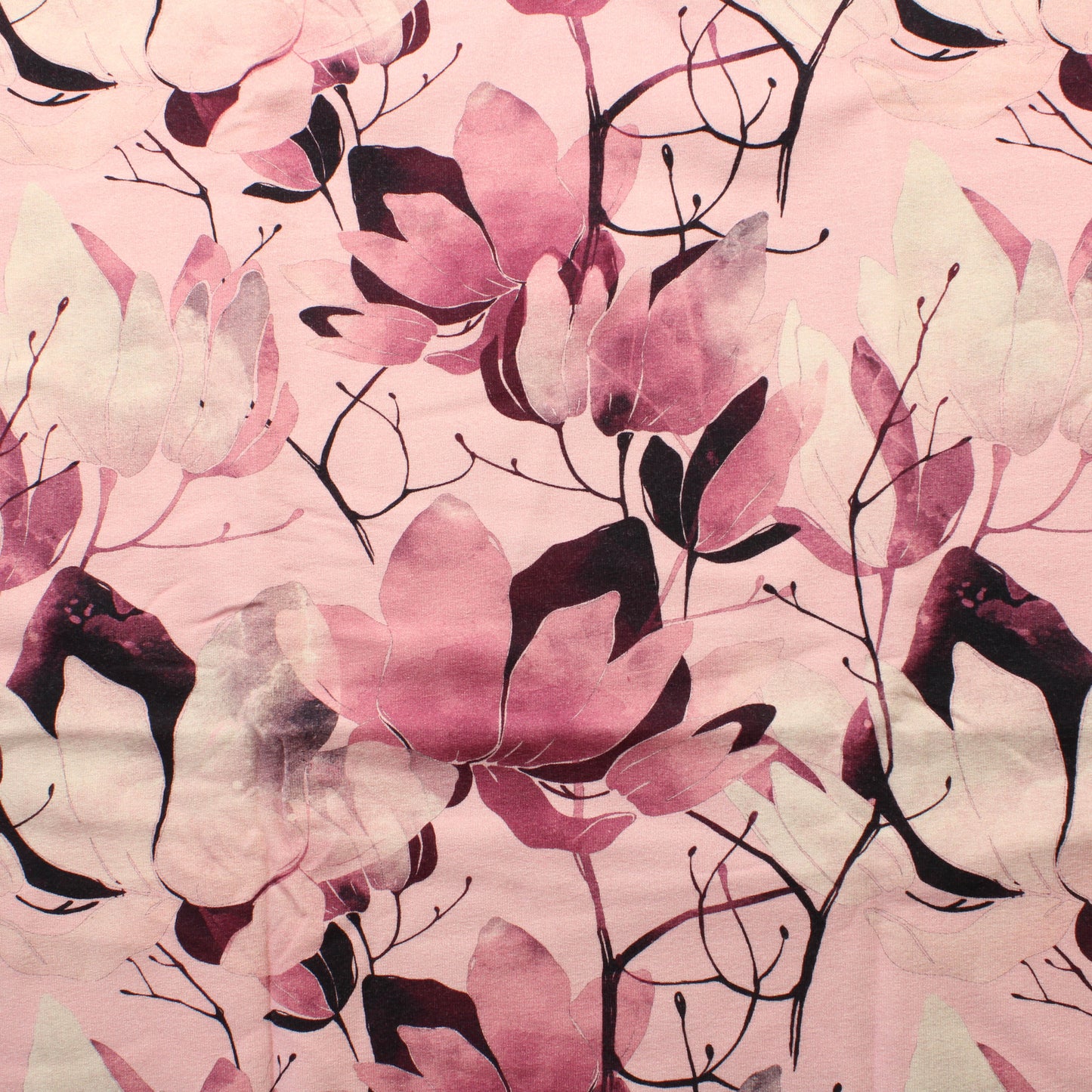 Magnolia JC - Pala