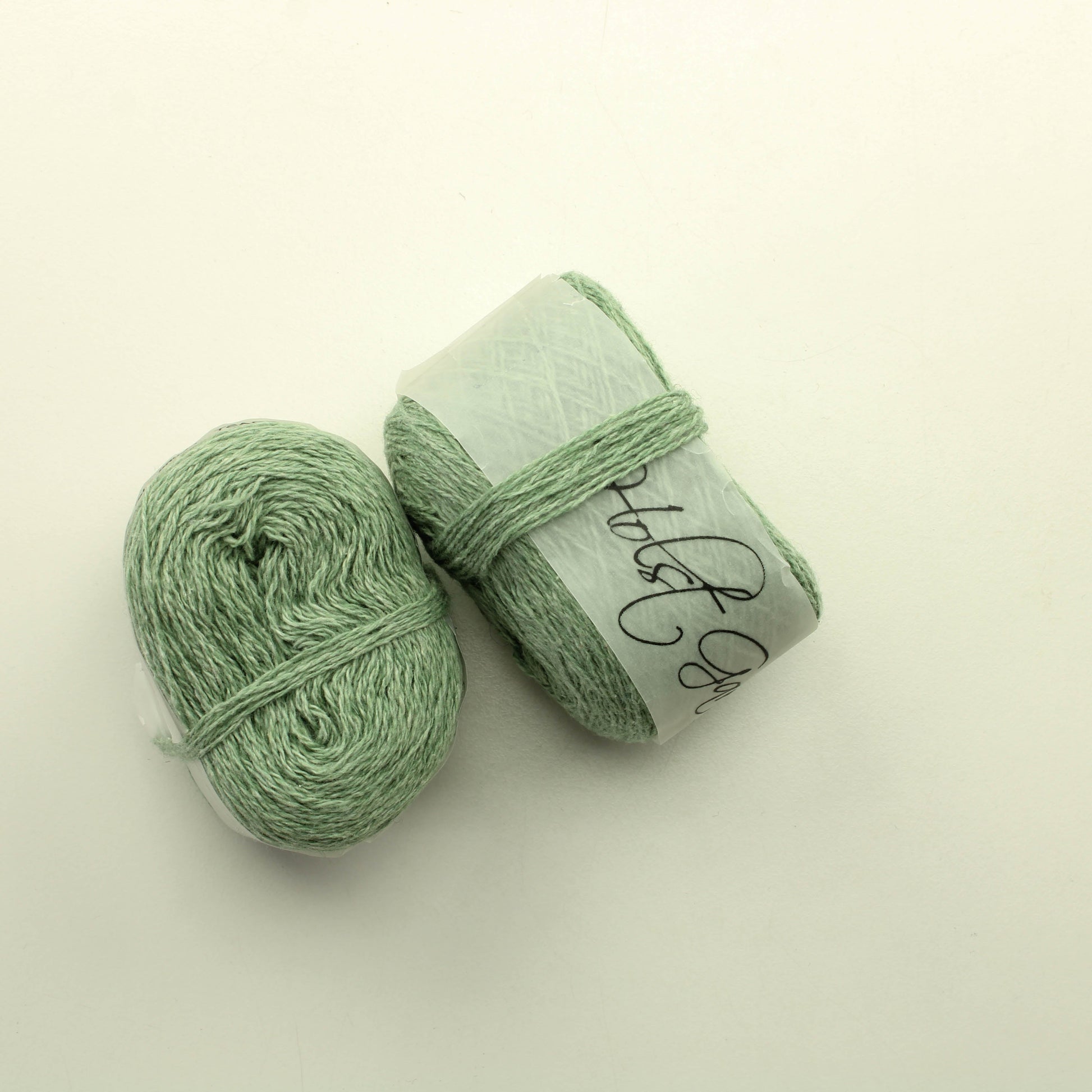 Holst Garn Coast - Fauna Lankapussi 575 (75g)
