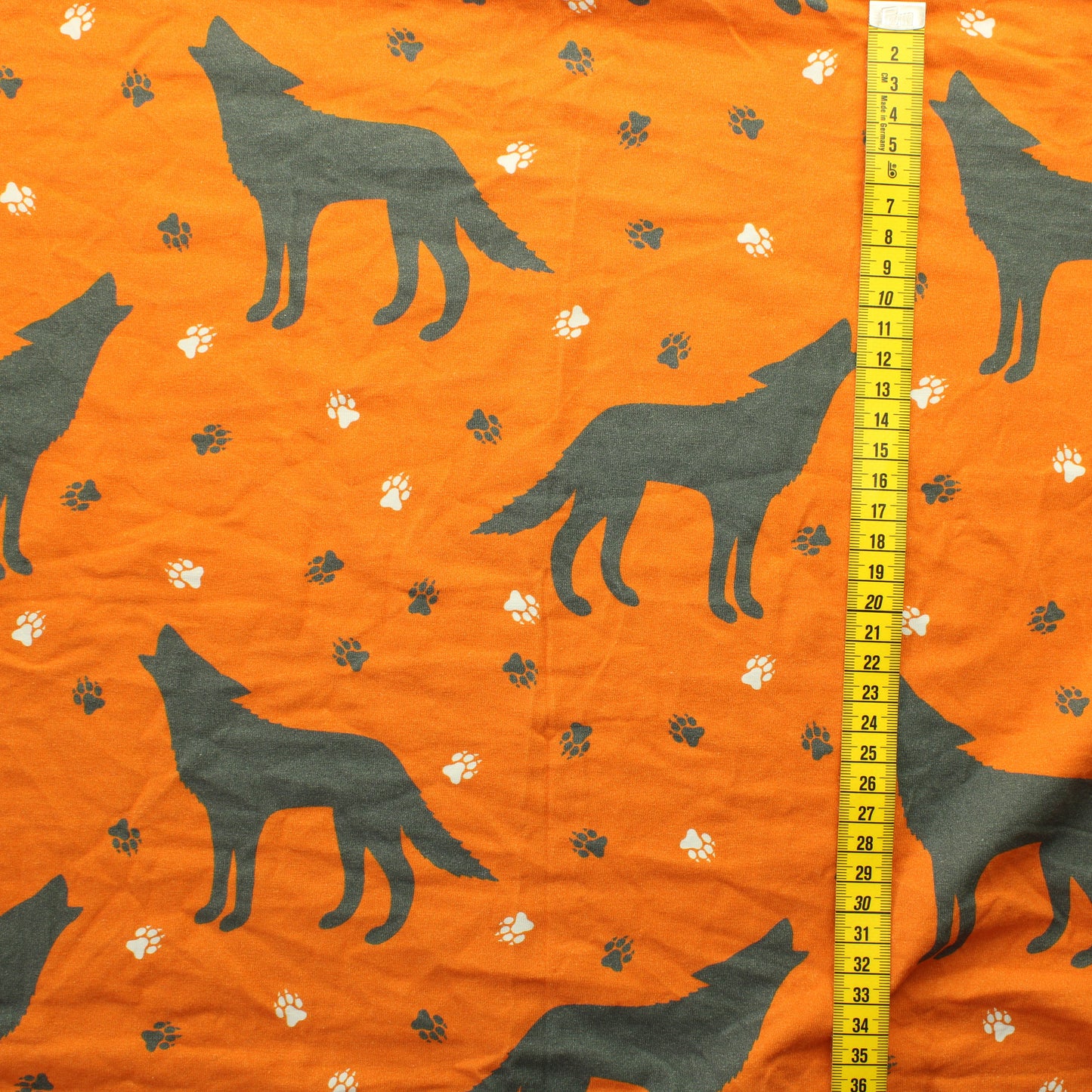 Sudet Trikoo - Pala