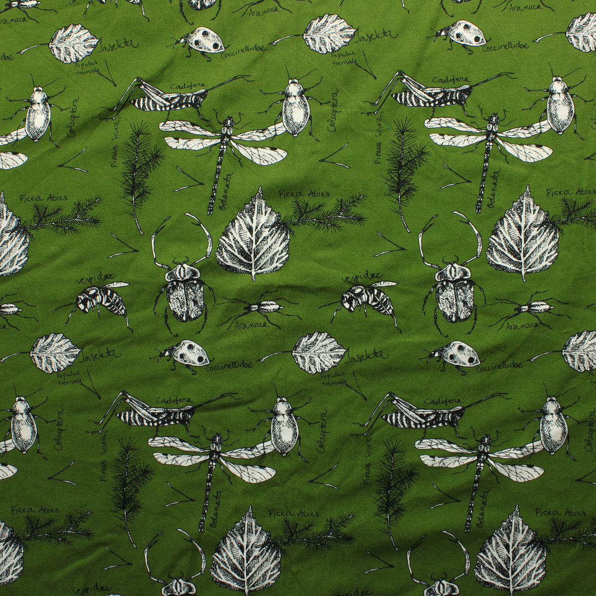 Pelho Design Luonto Trikoo - Pala