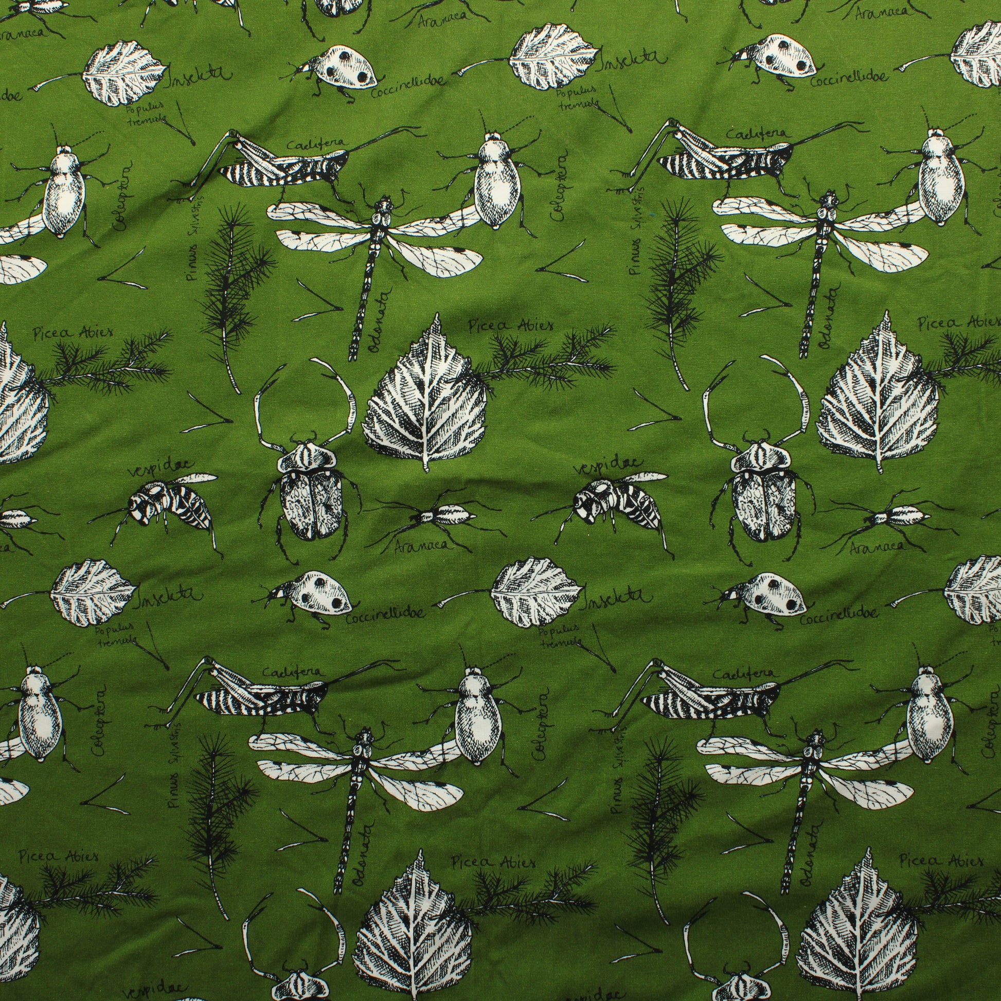 Pelho Design Luonto Trikoo - Pala