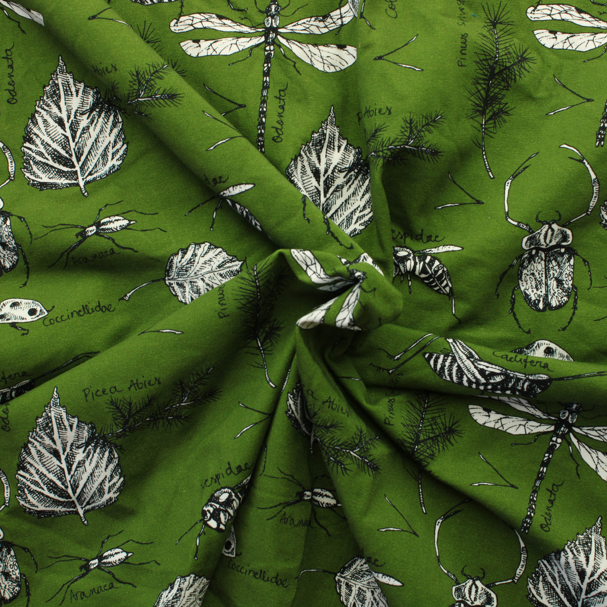 Pelho Design Luonto Trikoo - Pala