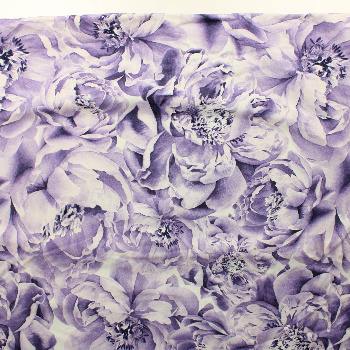 VIoletti Pioni Trikoo - Pala