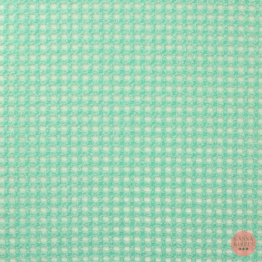 Minttu-valkoinen meleerattu reikäneulos - Pala