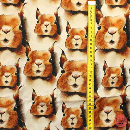 Metsola Squirrel Cream Trikoo - Pala