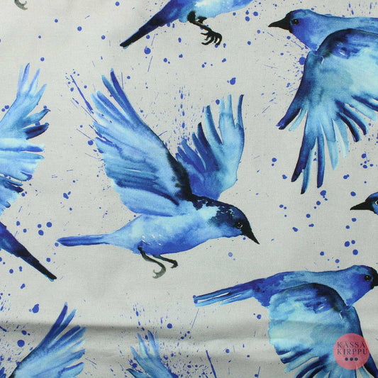 Sininen lintu Puuvilla - Pala